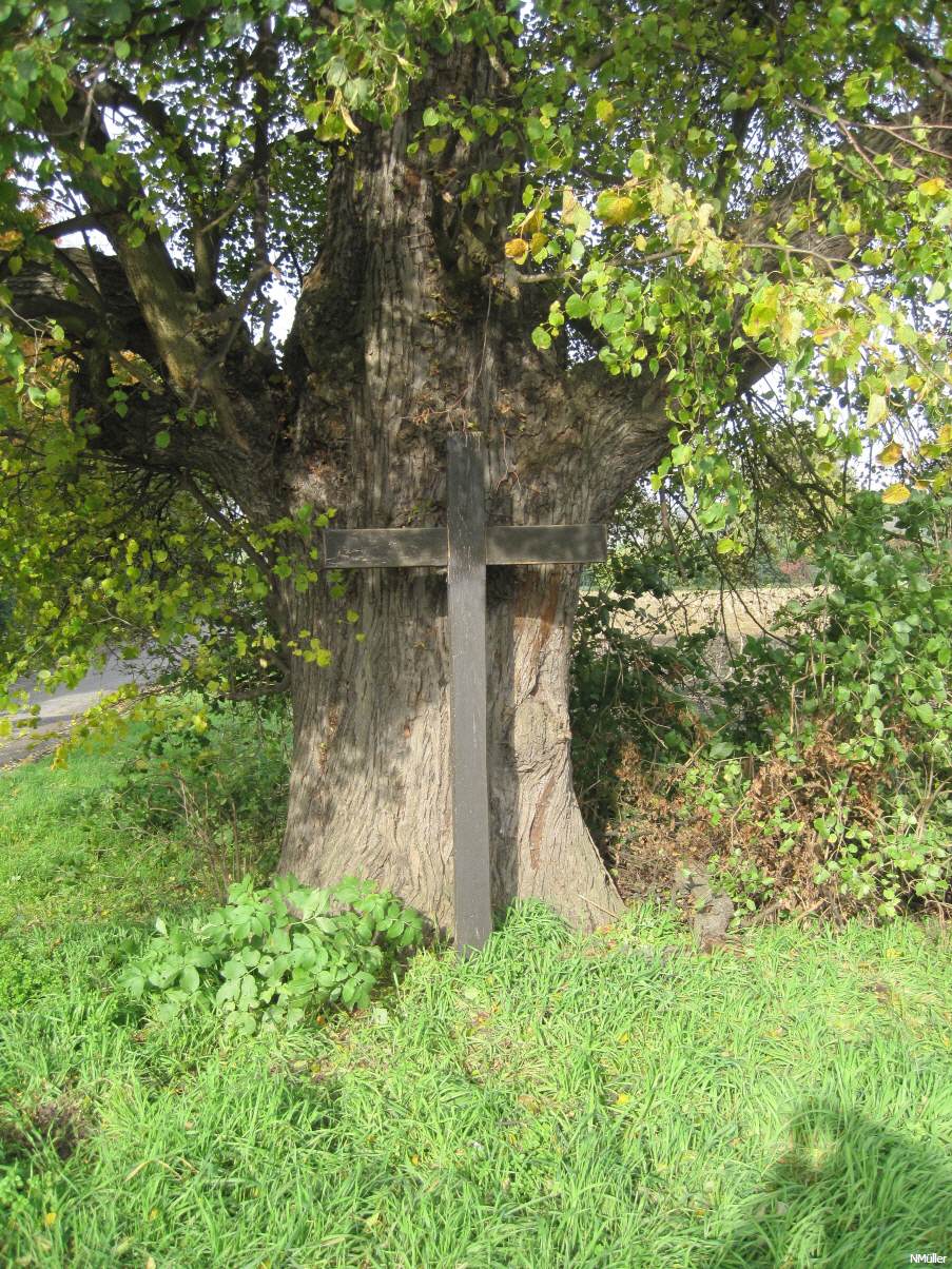 schlichtes Holzkreuz unter der Linde