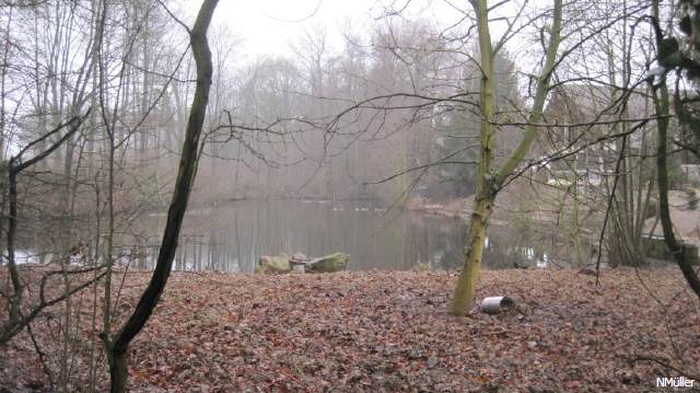 Rossmühlenweiher